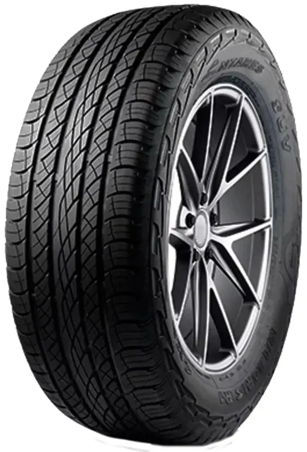 Antares Majoris R1 305/40R22 114V XL Performance Tire