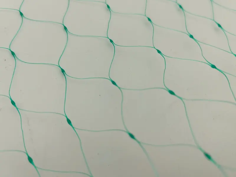 Anti-Bird Net 16.4Ft X 328Ft – Durable Pe Garden Netting With 2.5Cm Mesh For Crop & Plant Protection G5497 1