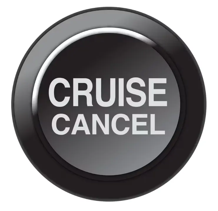 Link Can Keypad Insert - Cruise Cancel - 101-0261 1