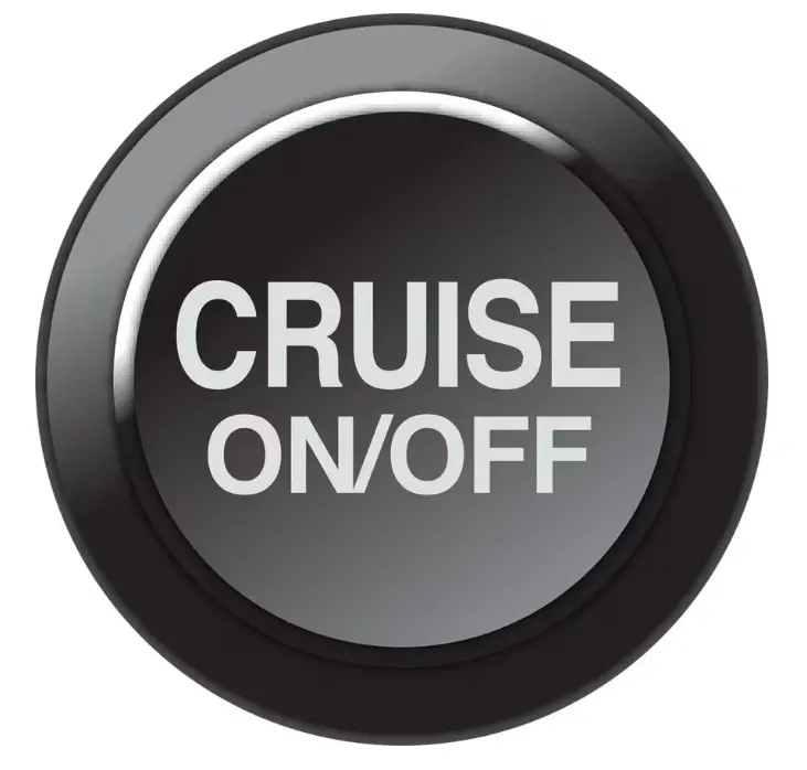 Link Can Keypad Insert - Cruise On/Off - 101-0259 1