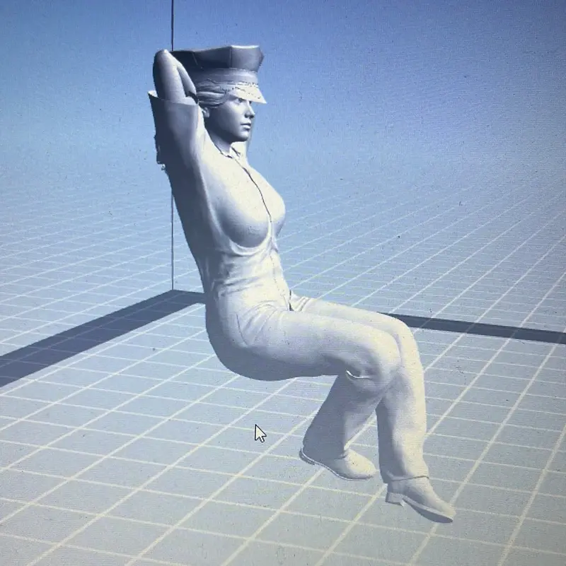 Police Woman Driver Figure 1
