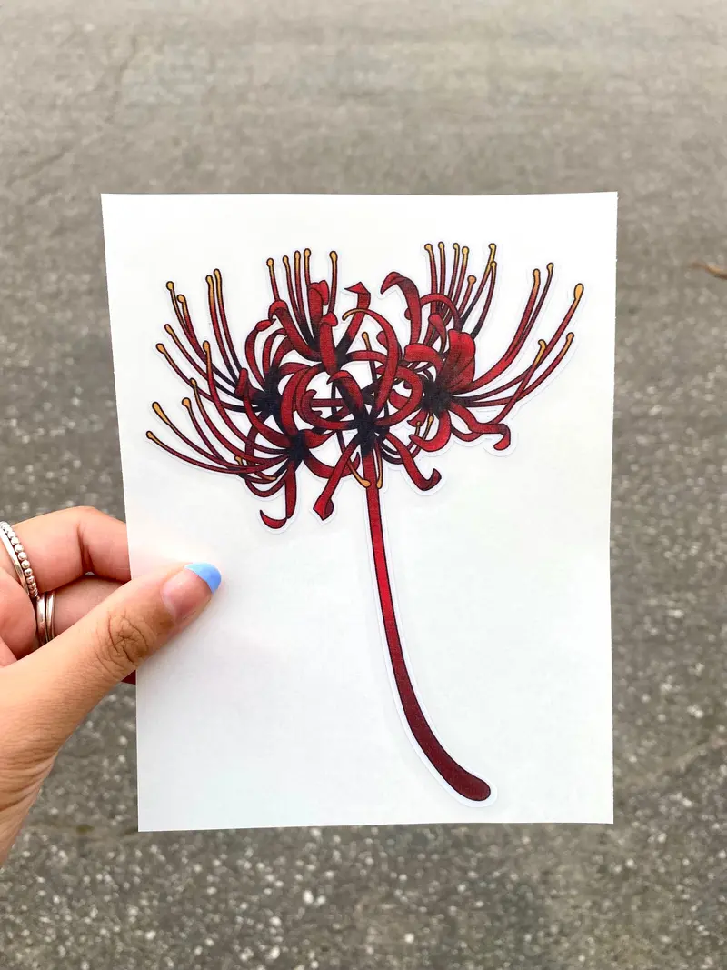 Spider Lily Peeker Sticker 1
